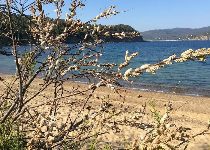 Appartamento Galenzana *