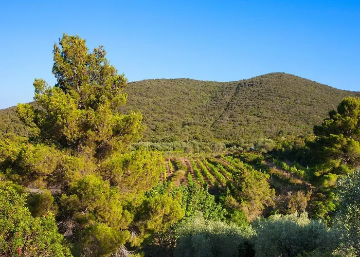 Appartamento Galenzana