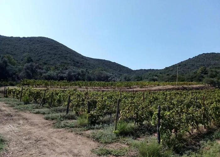 Appartamento Galenzana Marina di Campo