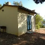 Galenzana