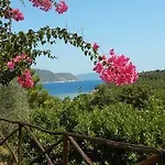 Apartment Galenzana Marina di Campo