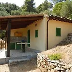 Galenzana