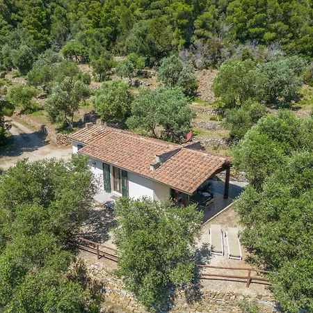 Galenzana Lägenhet Marina di Campo