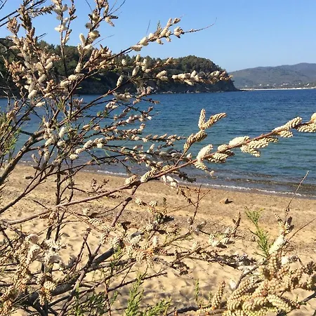 Apartman Galenzana *