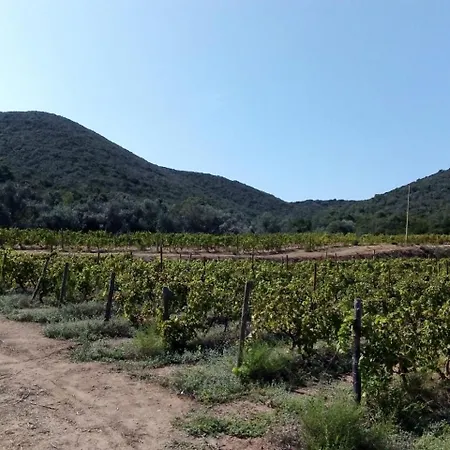 Διαμέρισμα Galenzana Marina di Campo