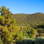 Appartement Galenzana