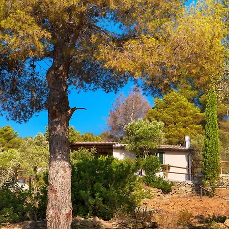 Galenzana * مارينا دي كامبو