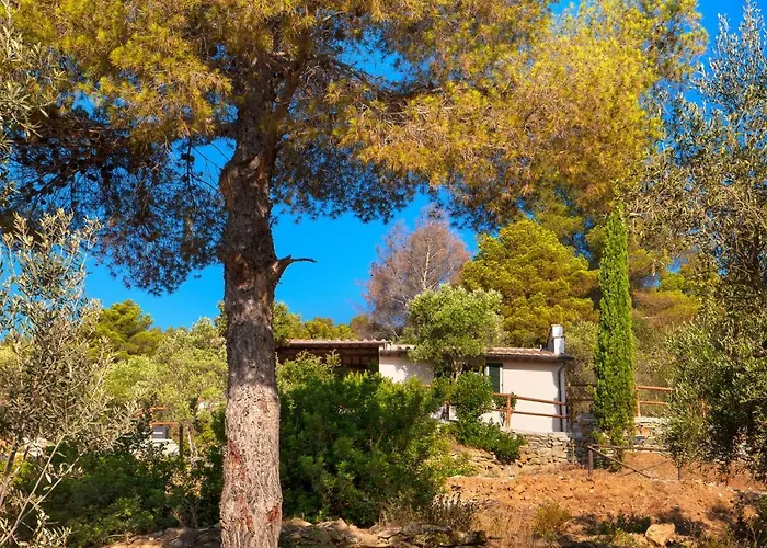 Galenzana * Marina di Campo